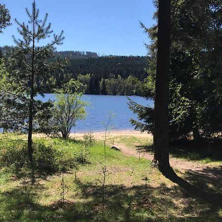 Rodinne Ubytovani Krauskopfovi Lipno nad Vltavou Exterior photo